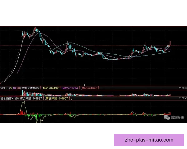 00291.hk：潜藏的宝石，蓄势待发的潜力股